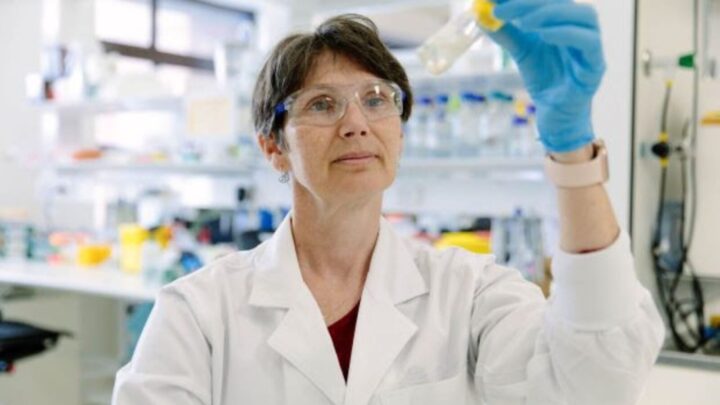 Link between sleep apnoea and dementia revealed. Source: University of Queensland
